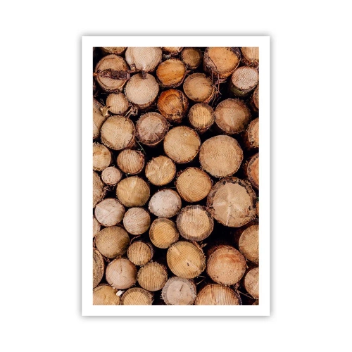 Plakat - Nowy początek - 61x91 cm