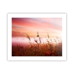 Plakat - Latawce, dmuchawce, wiatr - 50x40 cm