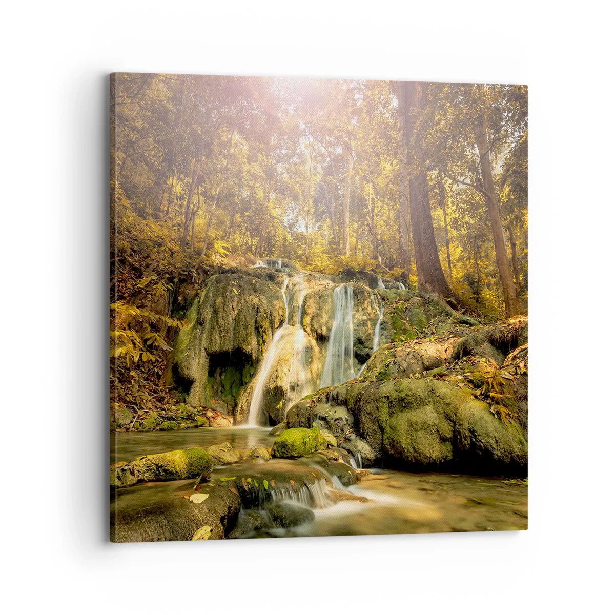 Obraz na płótnie - Leśna kaskada w zieleni - 70x70 cm