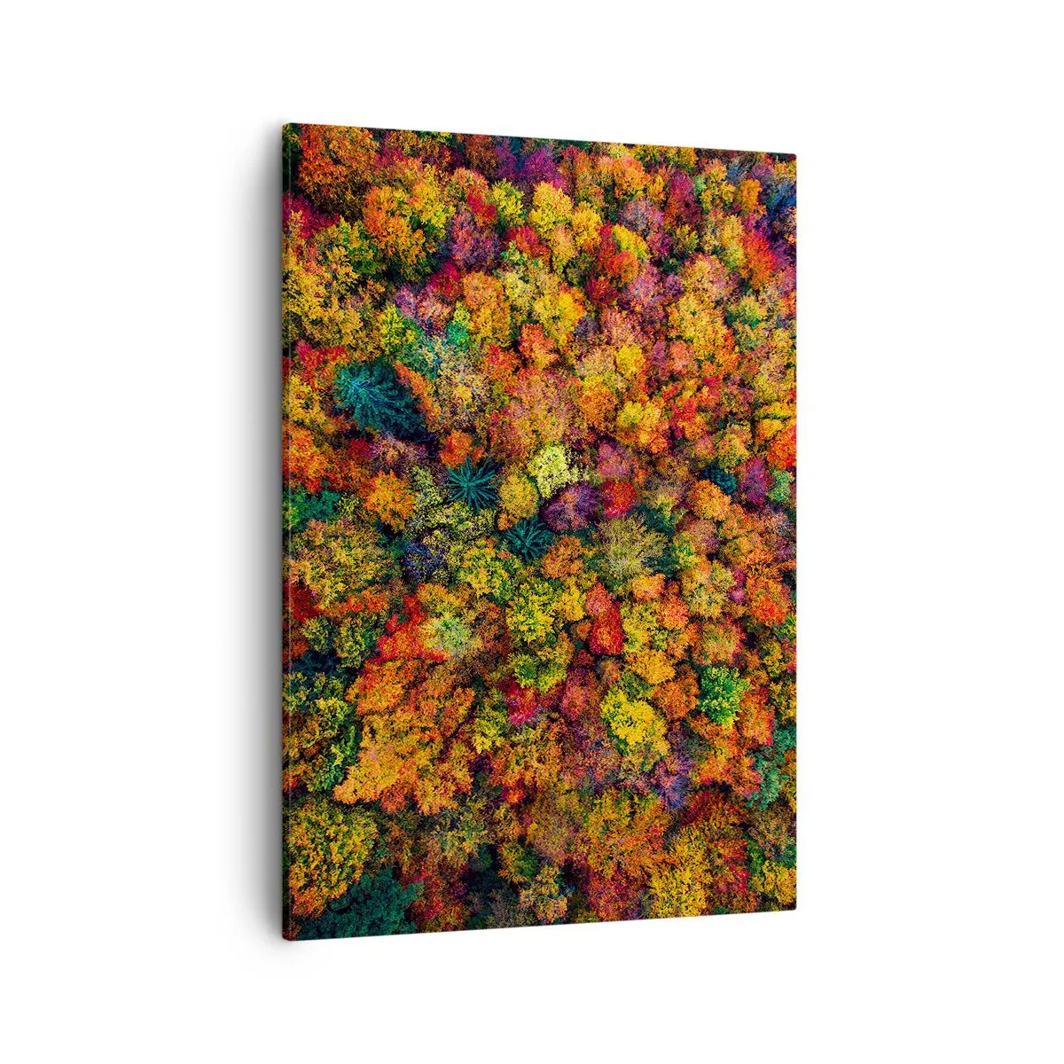Obraz na płótnie - Kolorowy las jesienią widziany z lotu ptaka - 50x70cm - Bukiet jesiennych drzew - Nowoczesna dekoracja ścienna do salonu, kuchni i sypialni ARTTOR