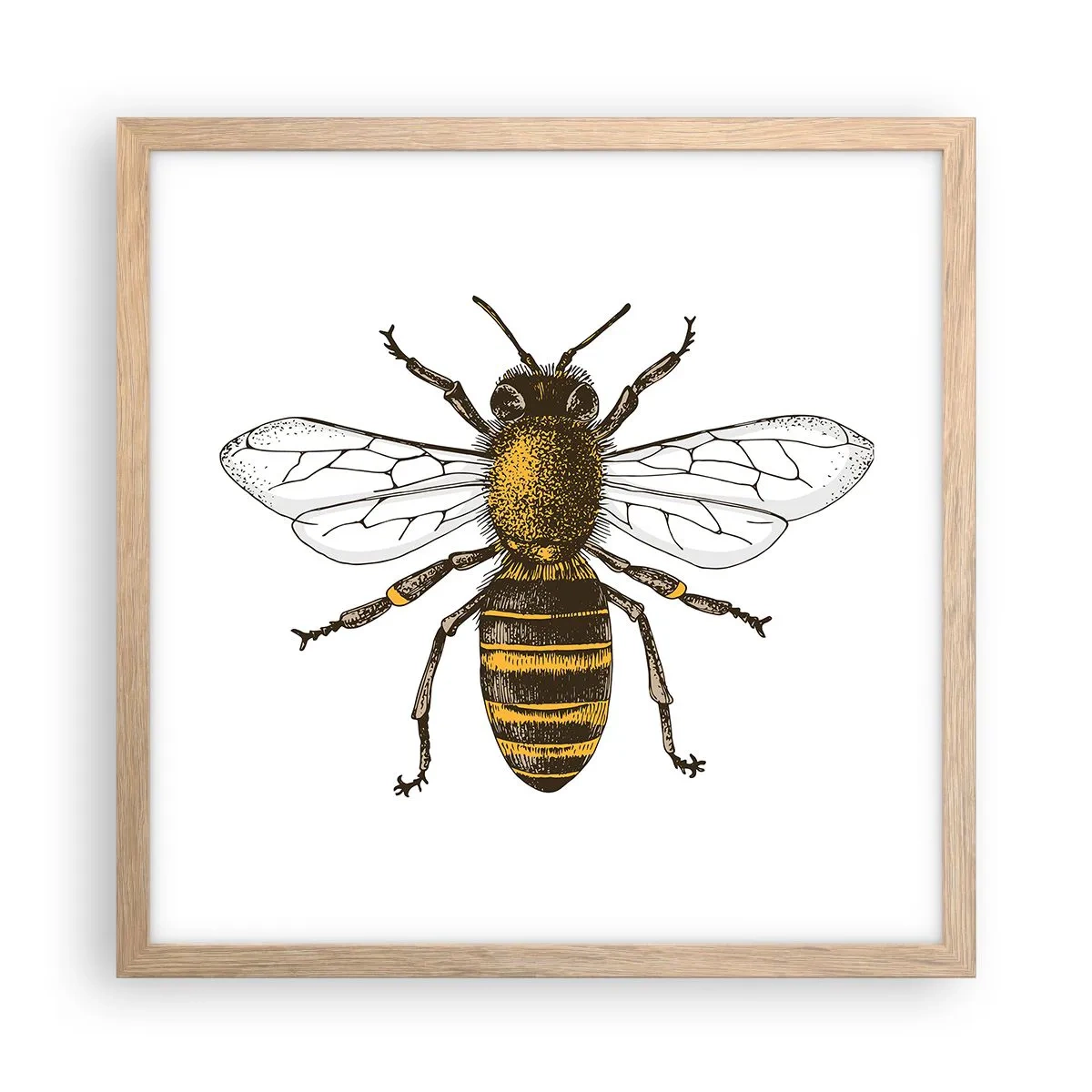 Plakat w ramie jasny dąb - Piękna i dobra - 40x40 cm