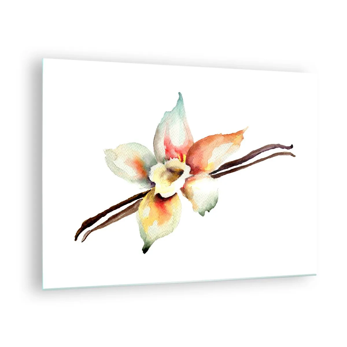 Obraz na szkle - Akwarelowa ilustracja waniliowego kwiatu na białym tle - 70x50cm - Rozlana farbką słodycz - Nowoczesna dekoracja ścienna do salonu i sypialni ARTTOR