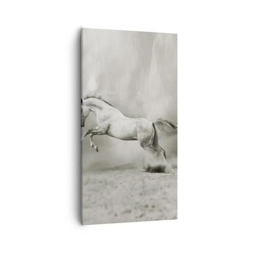 Obraz na płótnie - Między jawą a snem - 55x100 cm