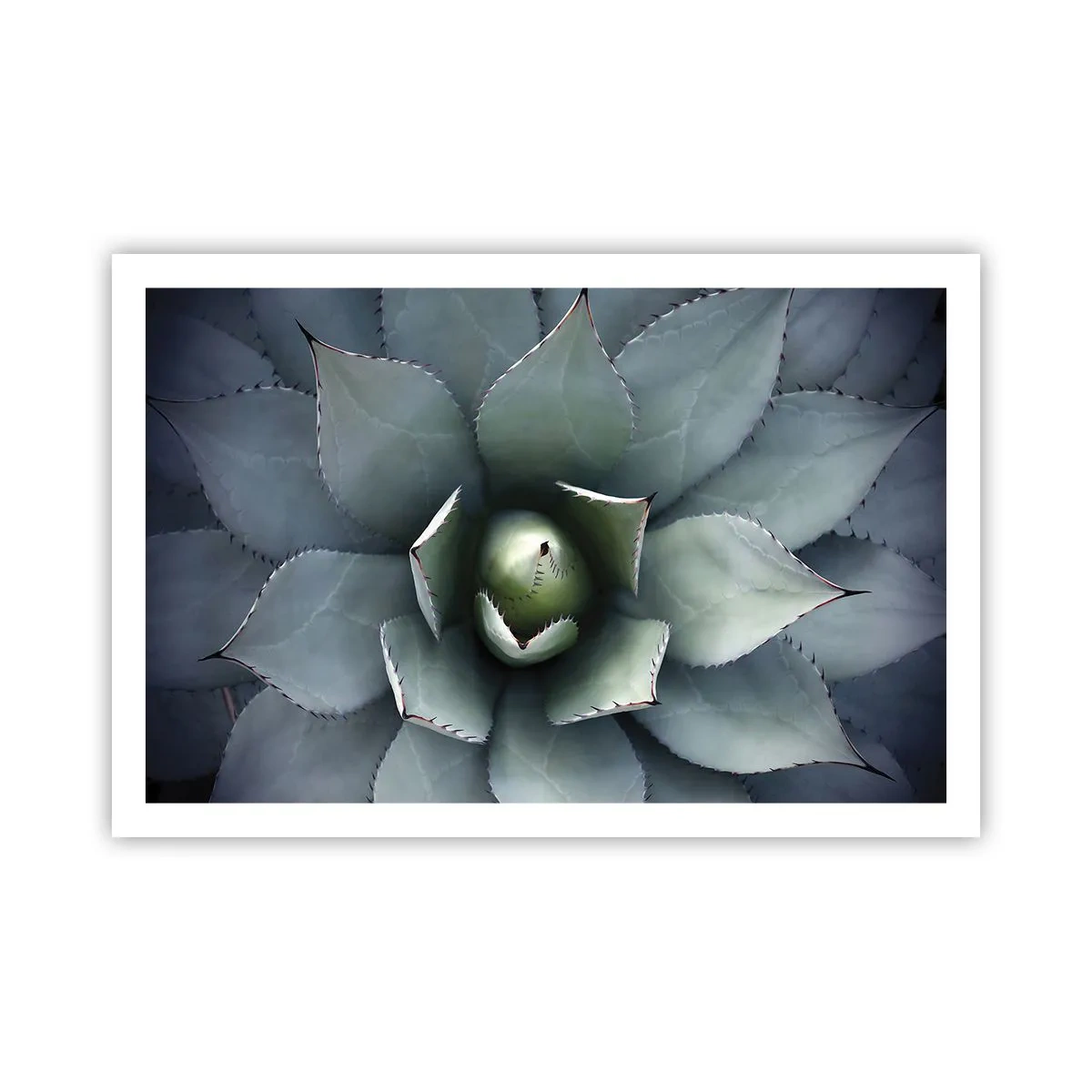 Plakat - Wabi i przestrzega - 91x61 cm