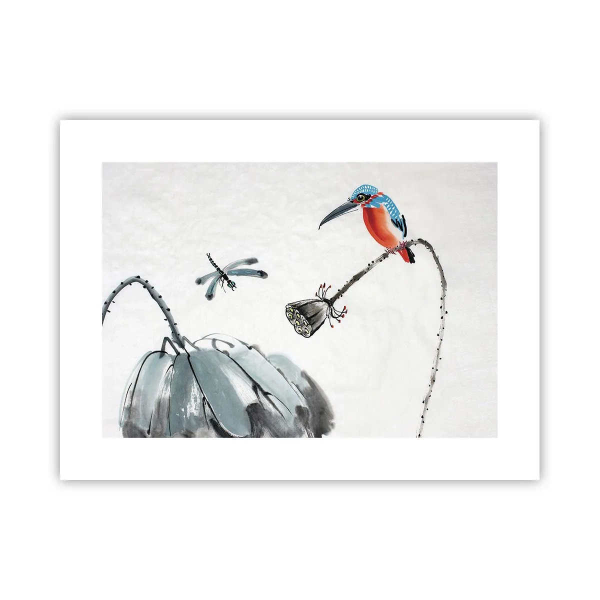 Plakat - Życie łąki - 40x30 cm