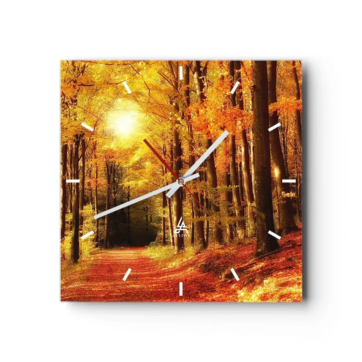 Zegar ścienny - Złota jesień na leśnej drodze - 40x40 cm