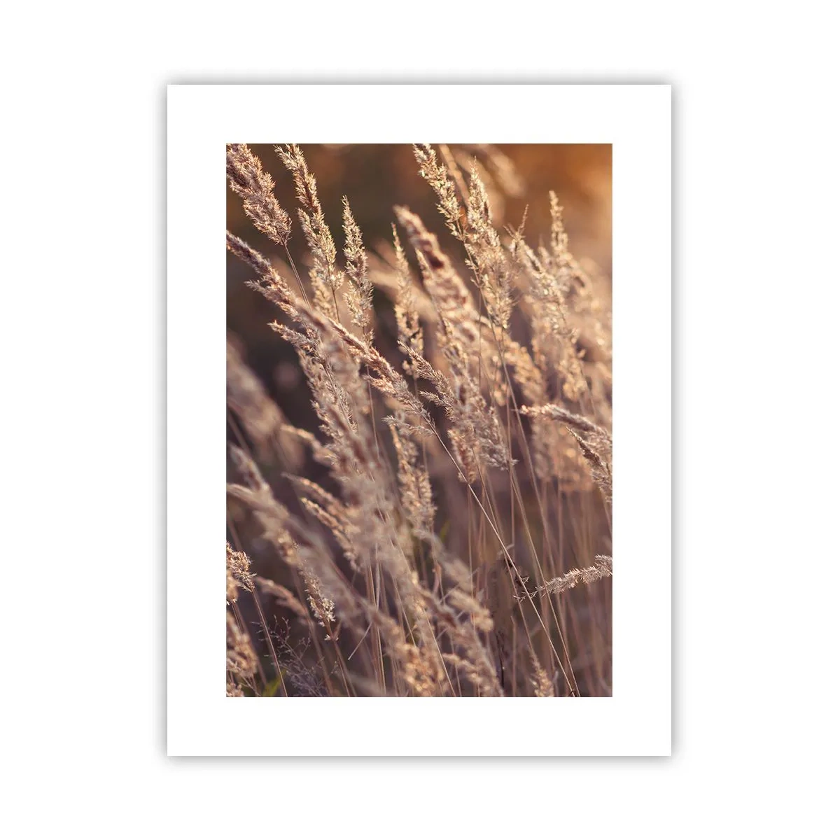 Plakat - Gotowe na powitanie jesieni - 30x40 cm