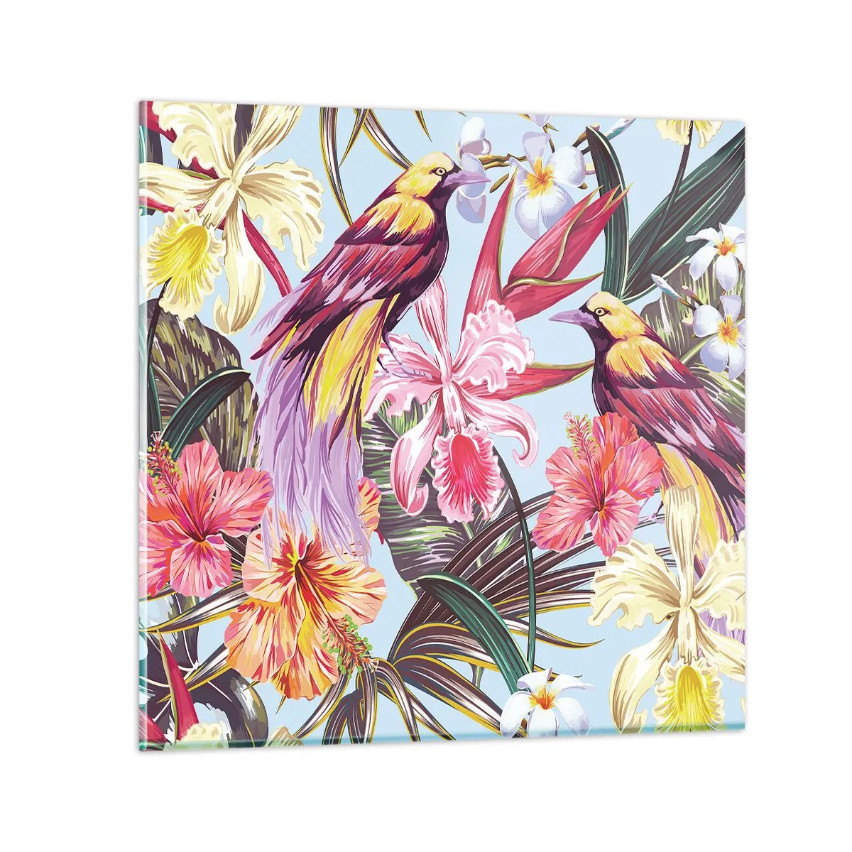 Obraz na szkle - Płatki i piórka - 50x50 cm