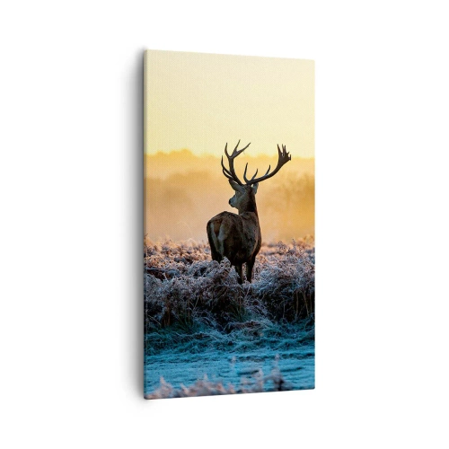 Obraz na płótnie - Koronowany na swoich włościach - 55x100 cm