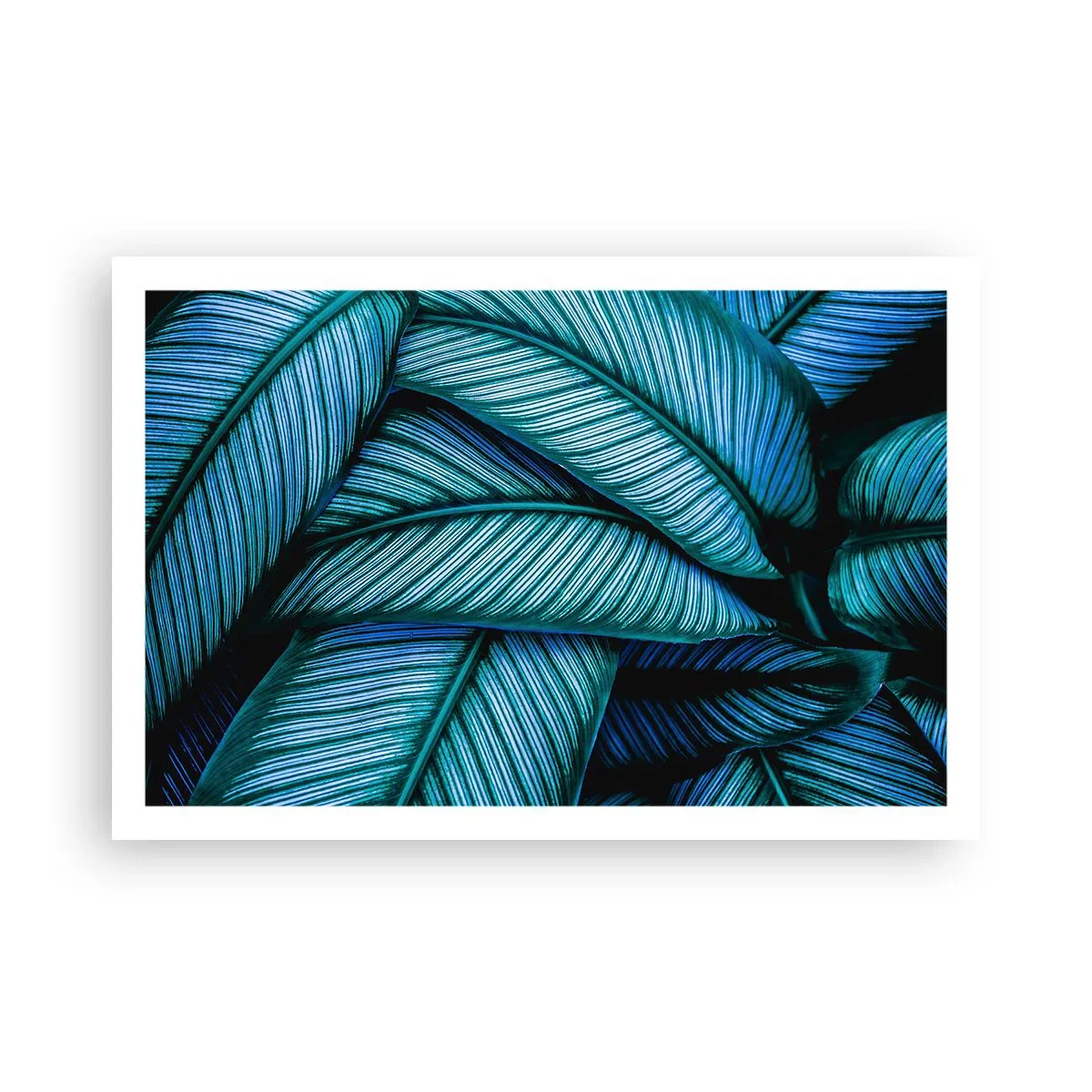 Plakat - Linie życia - 91x61 cm