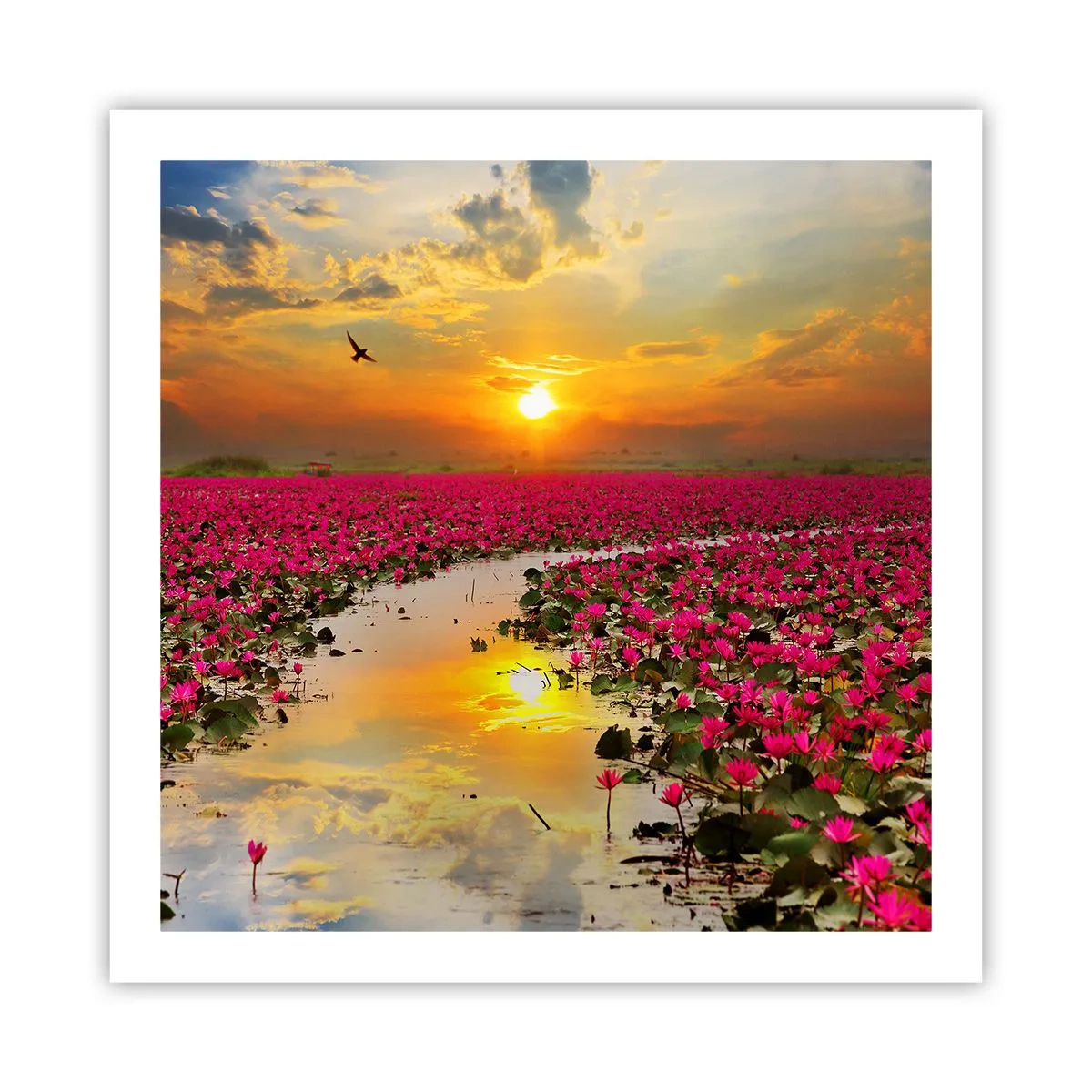 Plakat - Tajemne życie jeziora - 60x60 cm