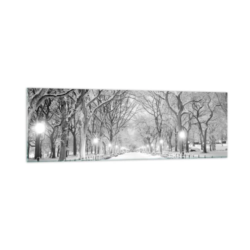 Obraz na szkle - Zimowa alejka z drzewami pokrytymi śniegiem w monochromatycznym ujęciu - 160x50cm - Cztery pory roku – zima - Nowoczesna dekoracja ścienna do salonu i sypialni ARTTOR