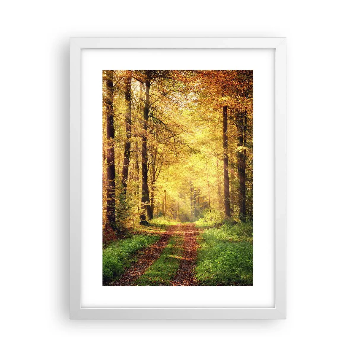 Plakat w białej ramie - Leśno-złota cisza - 30x40 cm
