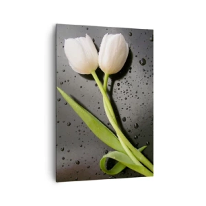 Obraz na płótnie - Białe tulipany na tle czarnym z kroplami wody - 70x100cm - Wiosenny splot - Nowoczesna dekoracja ścienna do salonu i sypialni ARTTOR