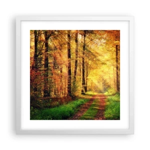 Plakat w białej ramie - Leśno-złota cisza - 40x40 cm