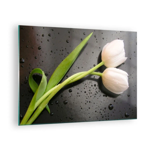 Obraz na szkle - Białe tulipany na tle z kroplami wody - 70x50cm - Wiosenny splot - Nowoczesna dekoracja ścienna do salonu i sypialni ARTTOR