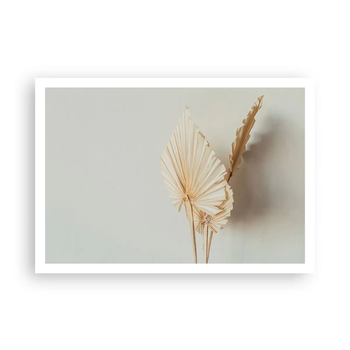 Plakat - Suszone liście palmowe w minimalistycznej aranżacji - 100x70cm - Gdy potrzebne ukojenie - Nowoczesna dekoracja ścienna do salonu i sypialni ARTTOR