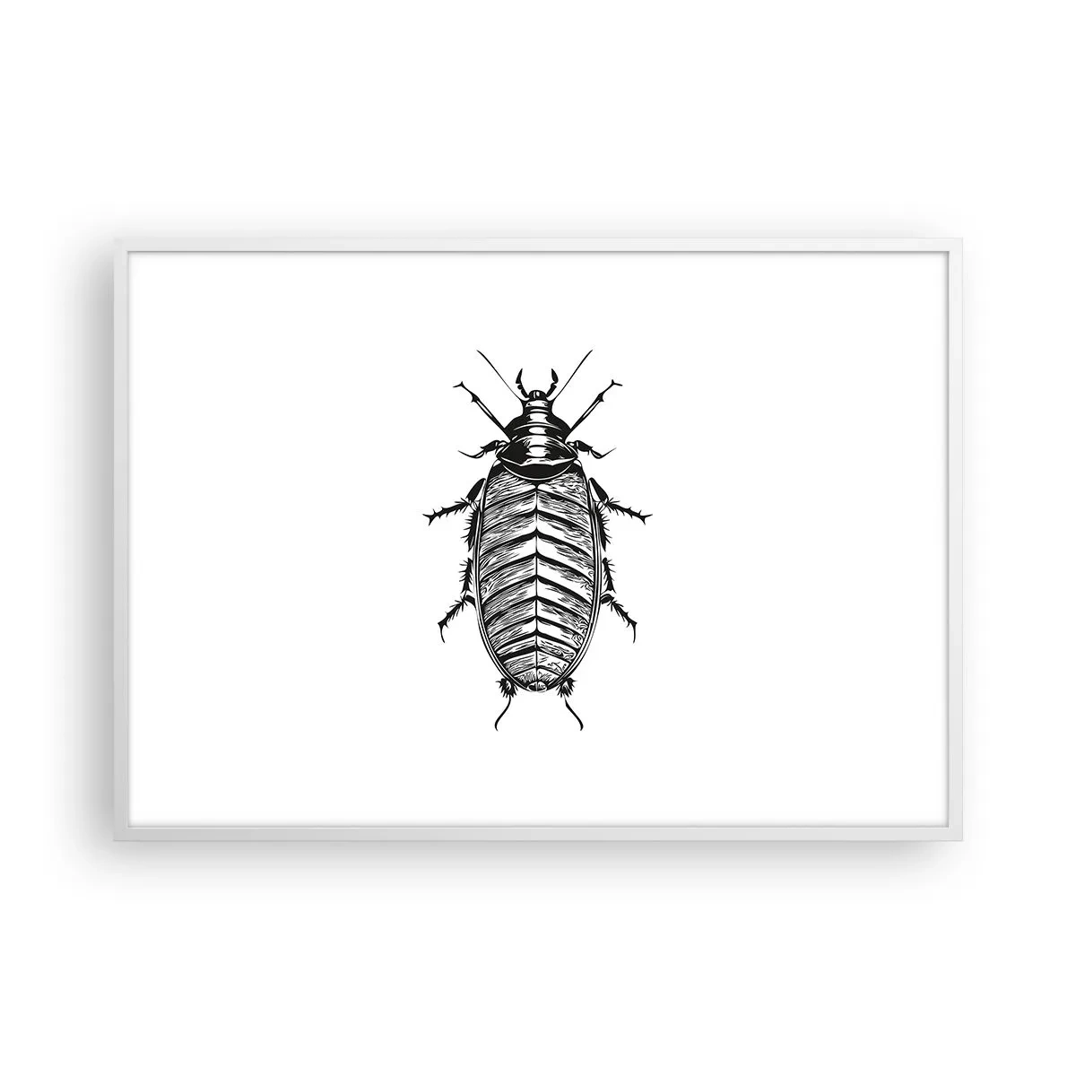 Plakat w białej ramie - Co za okaz! - 100x70 cm