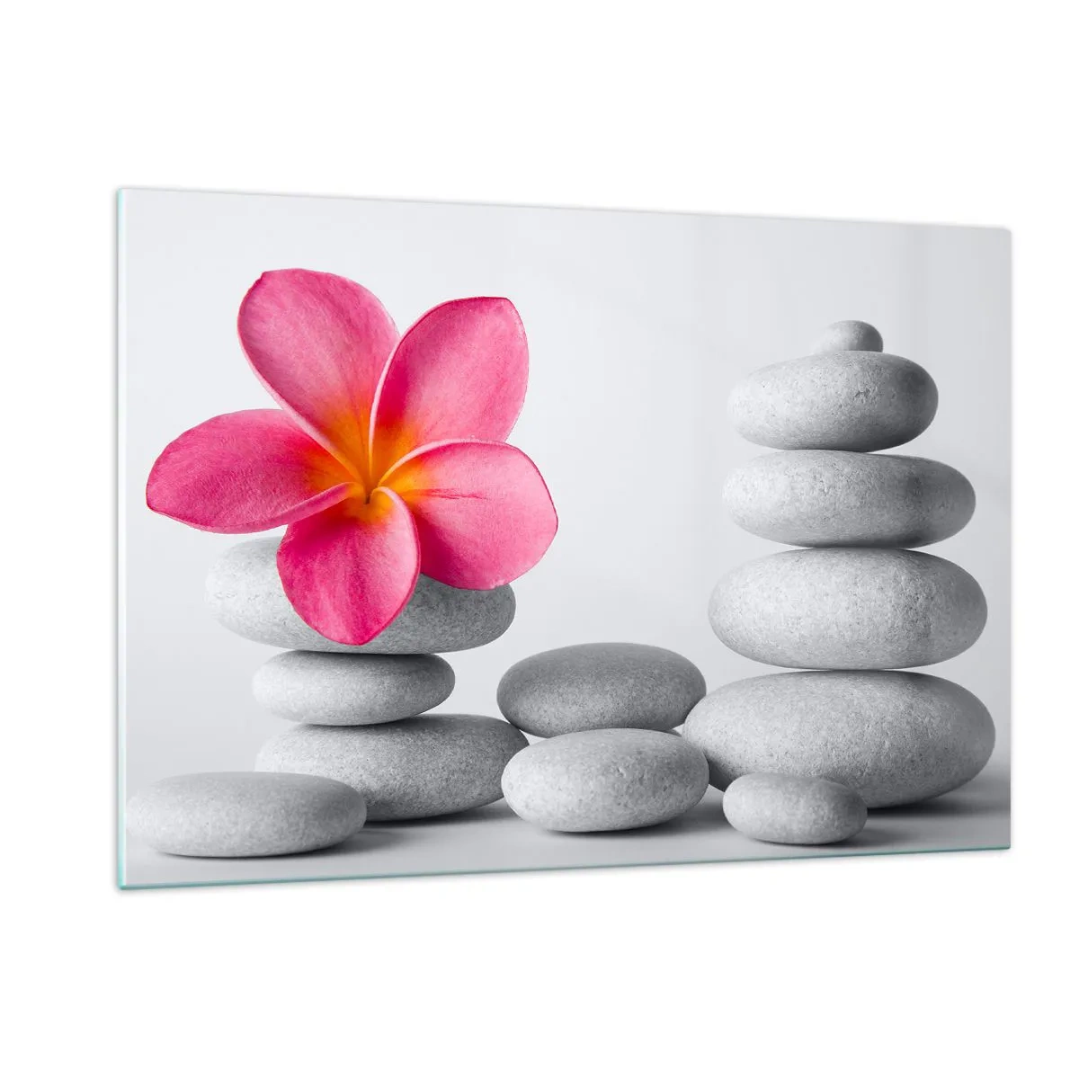 Obraz na szkle - Różowy kwiat na tle stosu białych kamieni - 120x80cm - Kamień na kamieniu, a na tym kamieniu… - Nowoczesna dekoracja ścienna do salonu, kuchni i sypialni ARTTOR
