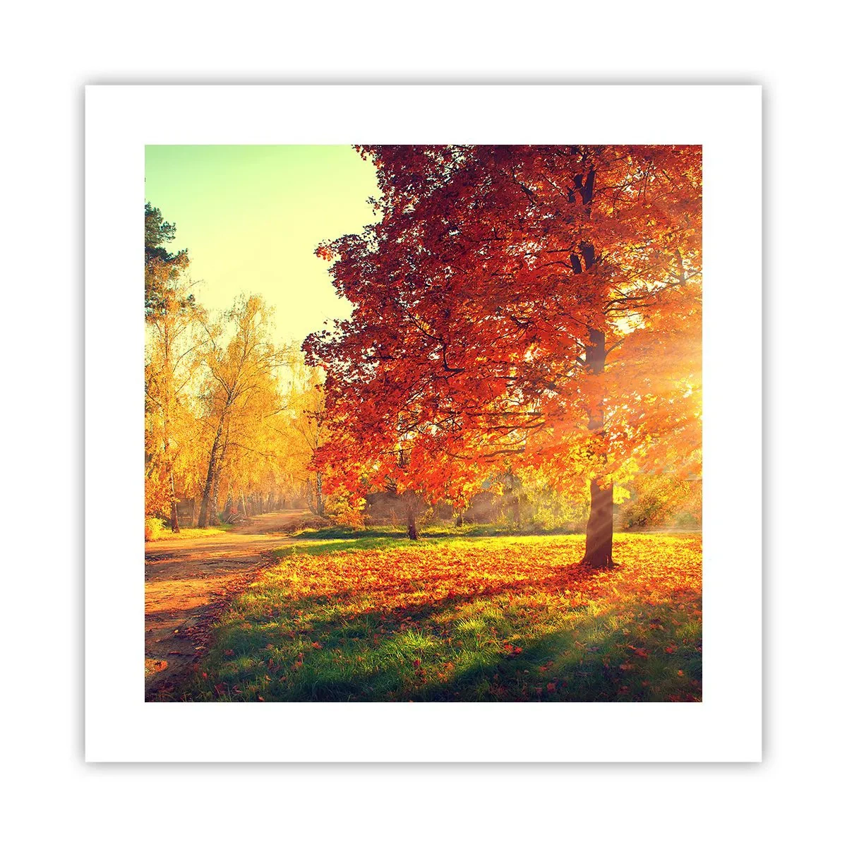 Plakat - Rude jest piękne - 40x40 cm