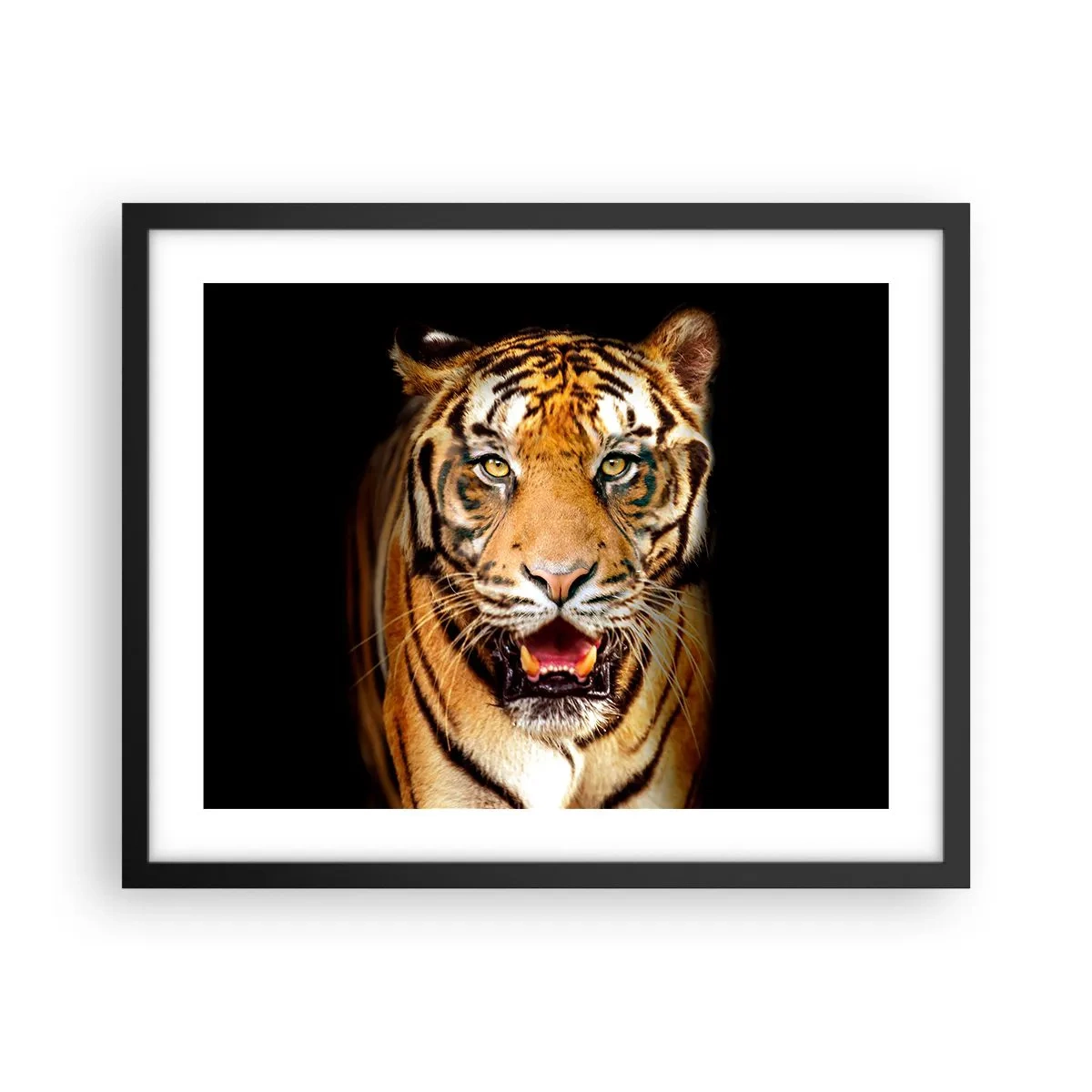 Plakat w czarnej ramie - Dzikość serca - 50x40 cm