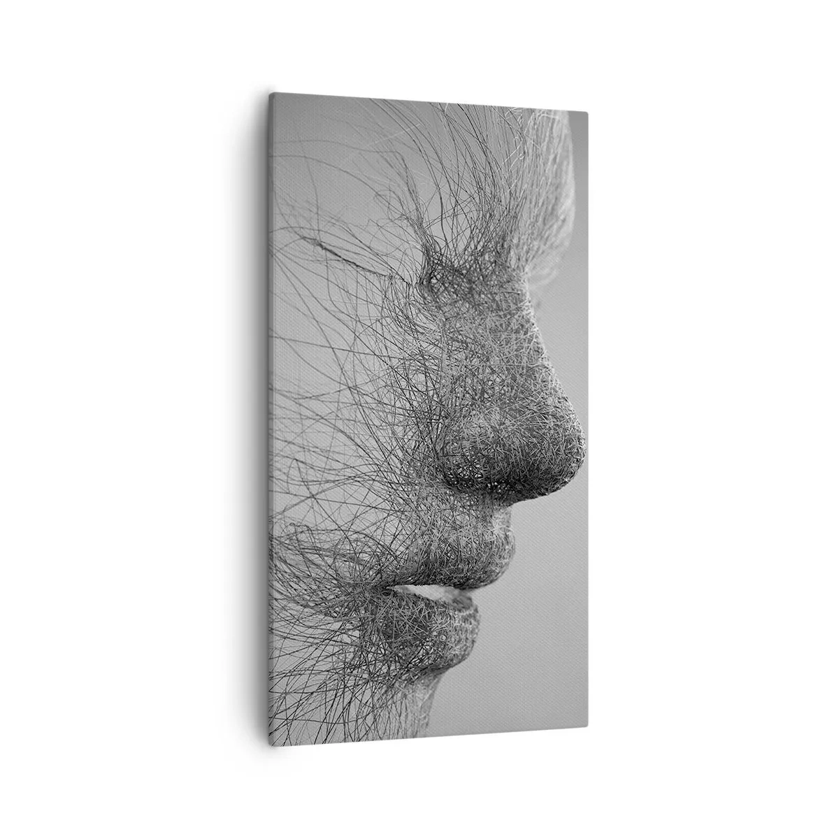 Obraz na płótnie - Duch wiatru - 55x100 cm