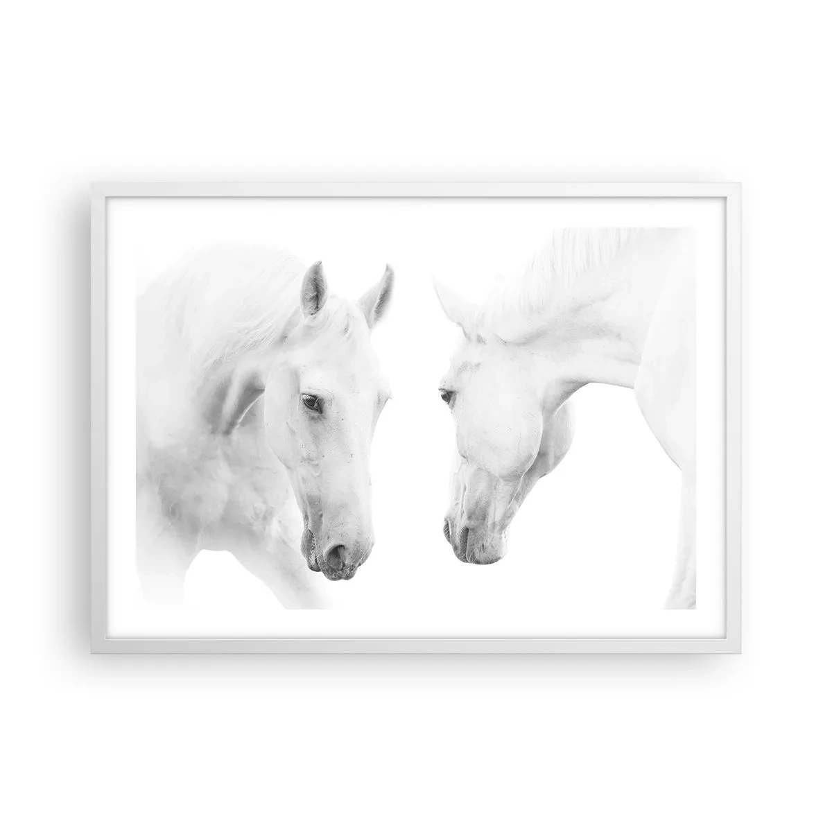 Plakat w białej ramie - Czy to jest przyjaźń…? - 70x50 cm
