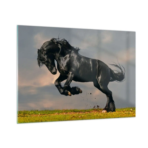 Obraz na szkle - Czarny koń w dynamicznym skoku na tle zachmurzonego nieba - 100x70cm - Piękny i wolny - Nowoczesna dekoracja ścienna do salonu, kuchni i sypialni ARTTOR