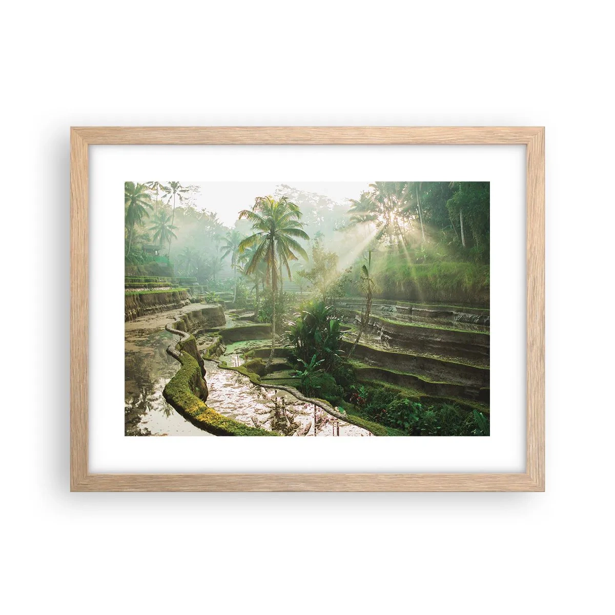 Plakat w ramie jasny dąb - Dorastać w słońcu - 40x30 cm