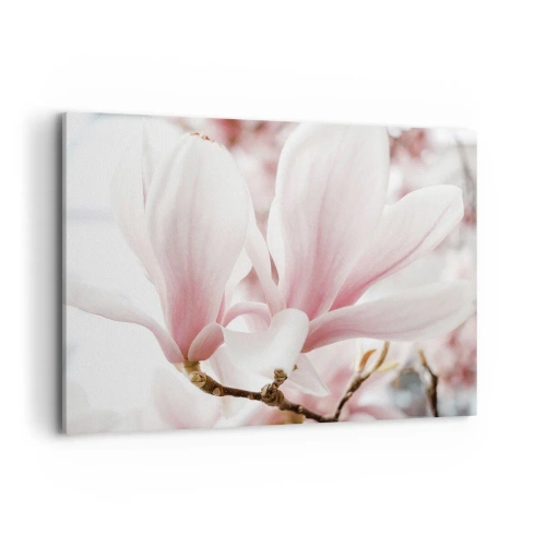Obraz na płótnie - Delikatne kwiaty magnolii w pastelowych odcieniach - 100x70cm - Bezmiar czułości - Nowoczesna dekoracja ścienna do salonu, kuchni i sypialni ARTTOR