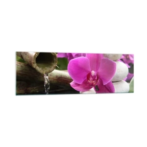 Obraz na szkle - Fioletowa orchidea, kamienie i bambus z wodą w relaksacyjnym otoczeniu - 160x50cm - Już odpoczywasz - Nowoczesna dekoracja ścienna do salonu i sypialni ARTTOR