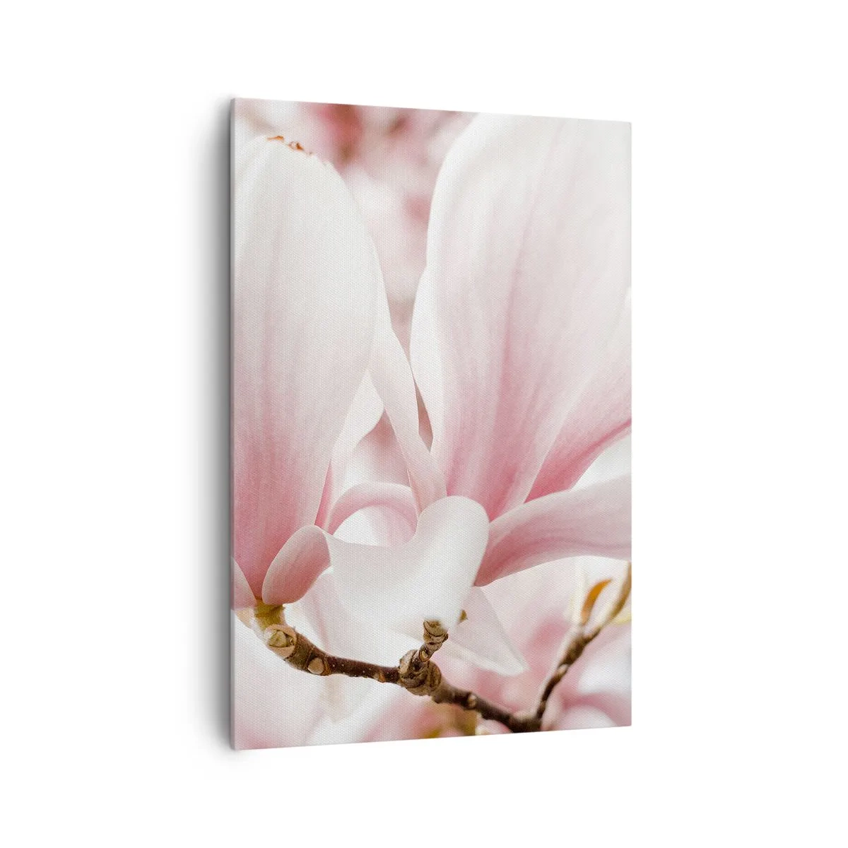 Obraz na płótnie - Delikatne kwiaty magnolii w pastelowych odcieniach - 70x100cm - Bezmiar czułości - Nowoczesna dekoracja ścienna do salonu i sypialni ARTTOR