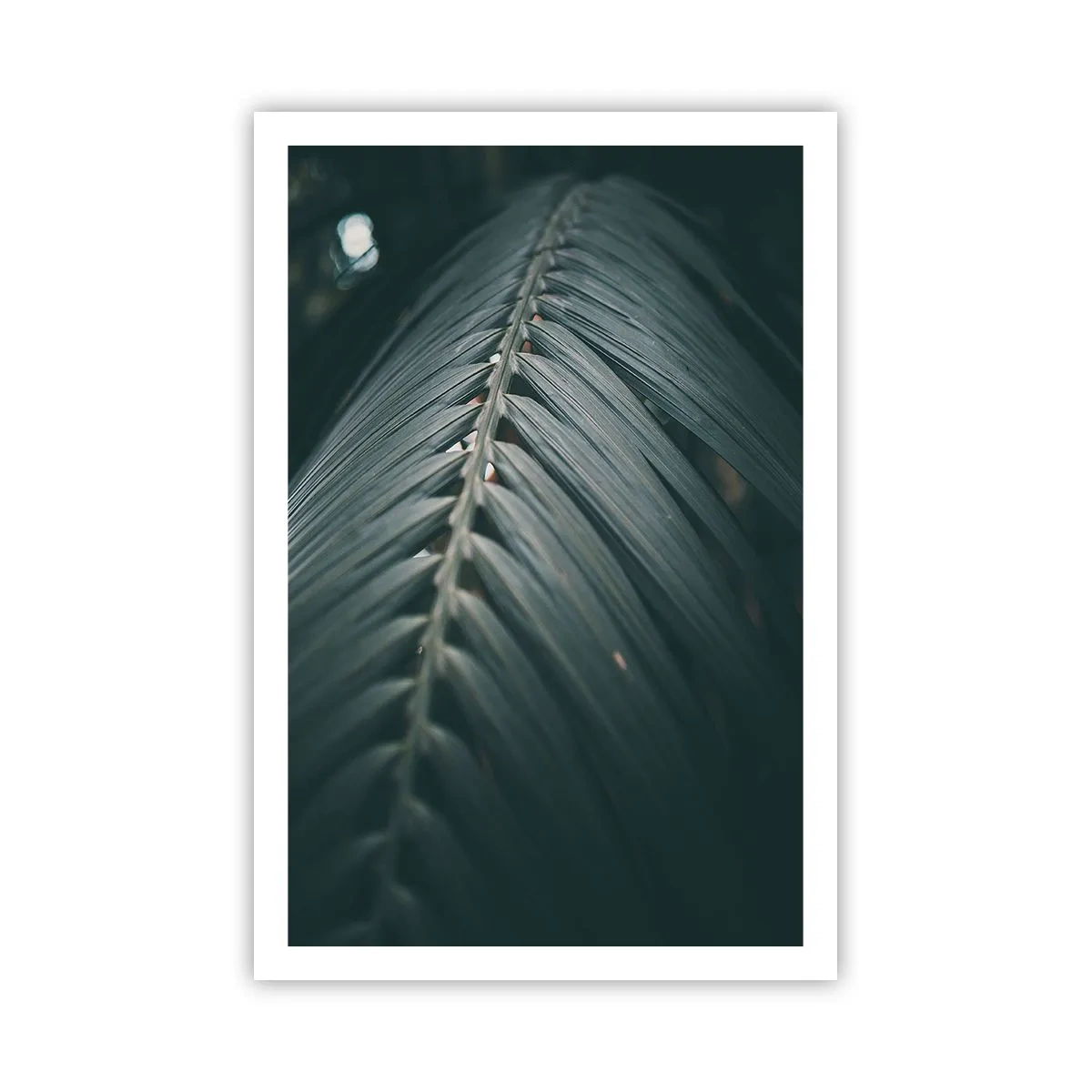 Plakat - Precyzja natury - 61x91 cm