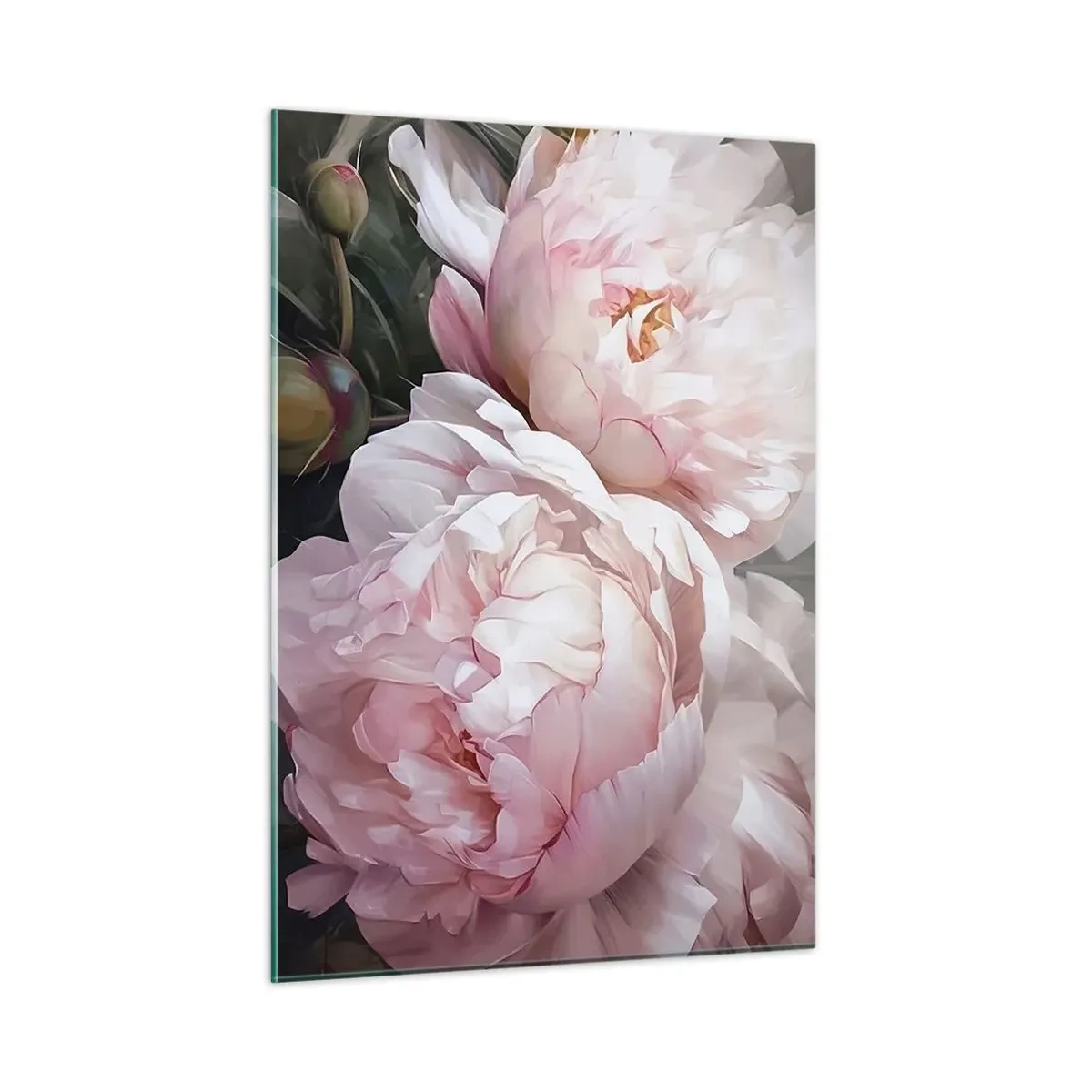 Obraz na szkle - Delikatne piwonie w jasnoróżowym odcieniu w zbliżeniu - 50x70cm - Zatrzymane w rozkwicie - Nowoczesna dekoracja ścienna do salonu, kuchni i sypialni ARTTOR