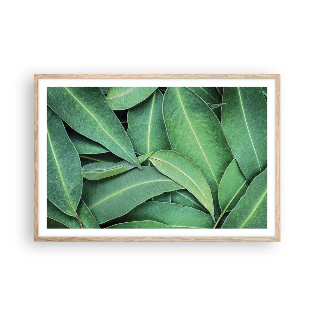 Plakat w ramie jasny dąb - Soczyste i świeże - 91x61 cm