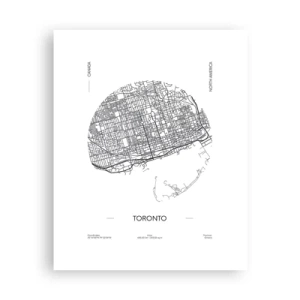 Plakat - Anatomia Toronto - 40x50 cm