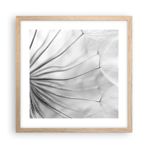 Plakat w ramie jasny dąb - Dmuchawce, latawce - 40x40 cm