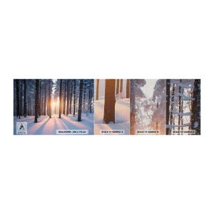Fototapeta Próbka Premium Sand - Wyraźnie czarno na białym - Krajobraz, Las, Śnieg - 100x30 cm