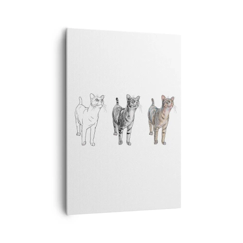 Obraz na płótnie - Ewolucja rysunku kota od szkicu do kolorowej formy - 70x100cm - Lekcja rysunku - Nowoczesna dekoracja ścienna do salonu i sypialni ARTTOR
