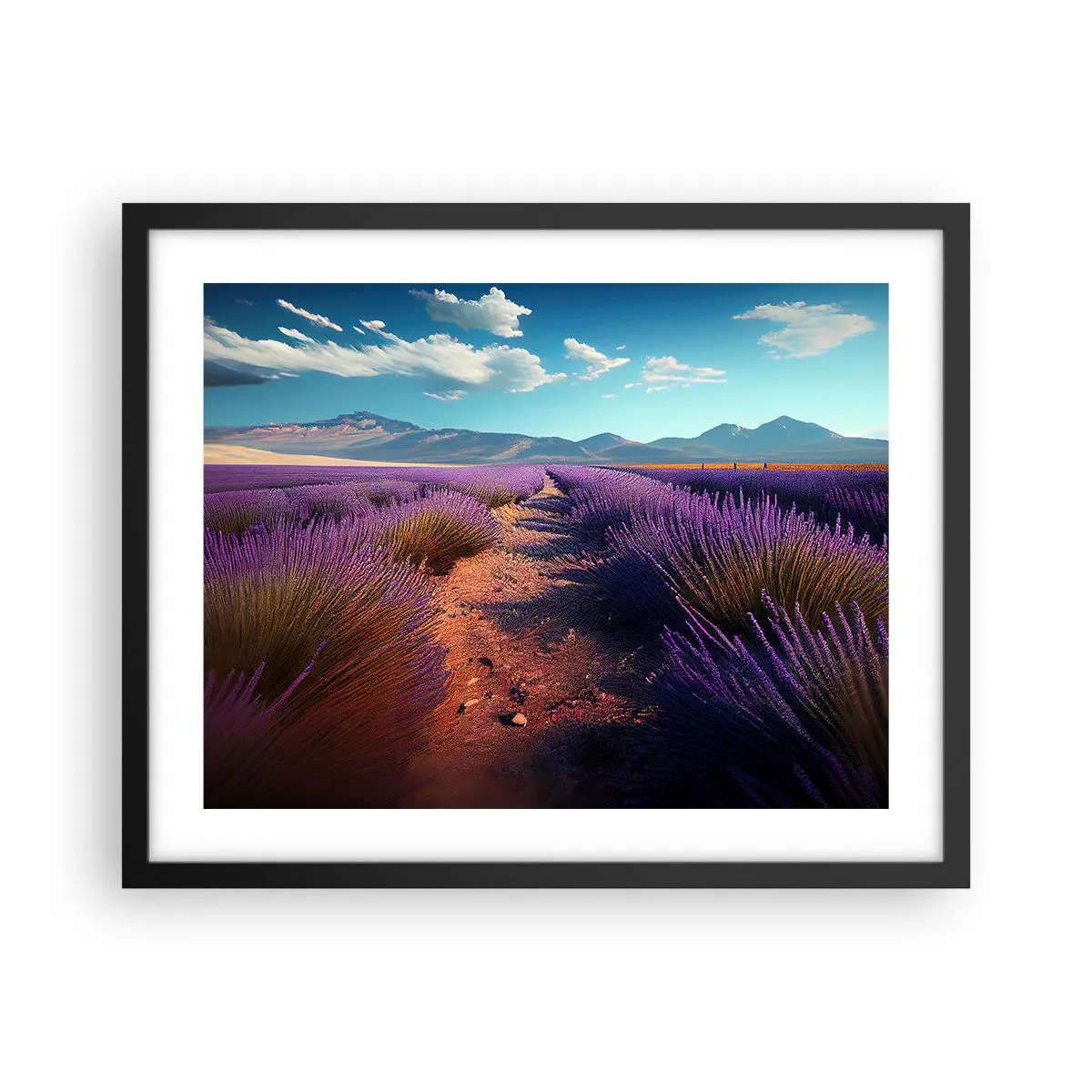 Plakat w czarnej ramie - Pachnące pola - 50x40 cm