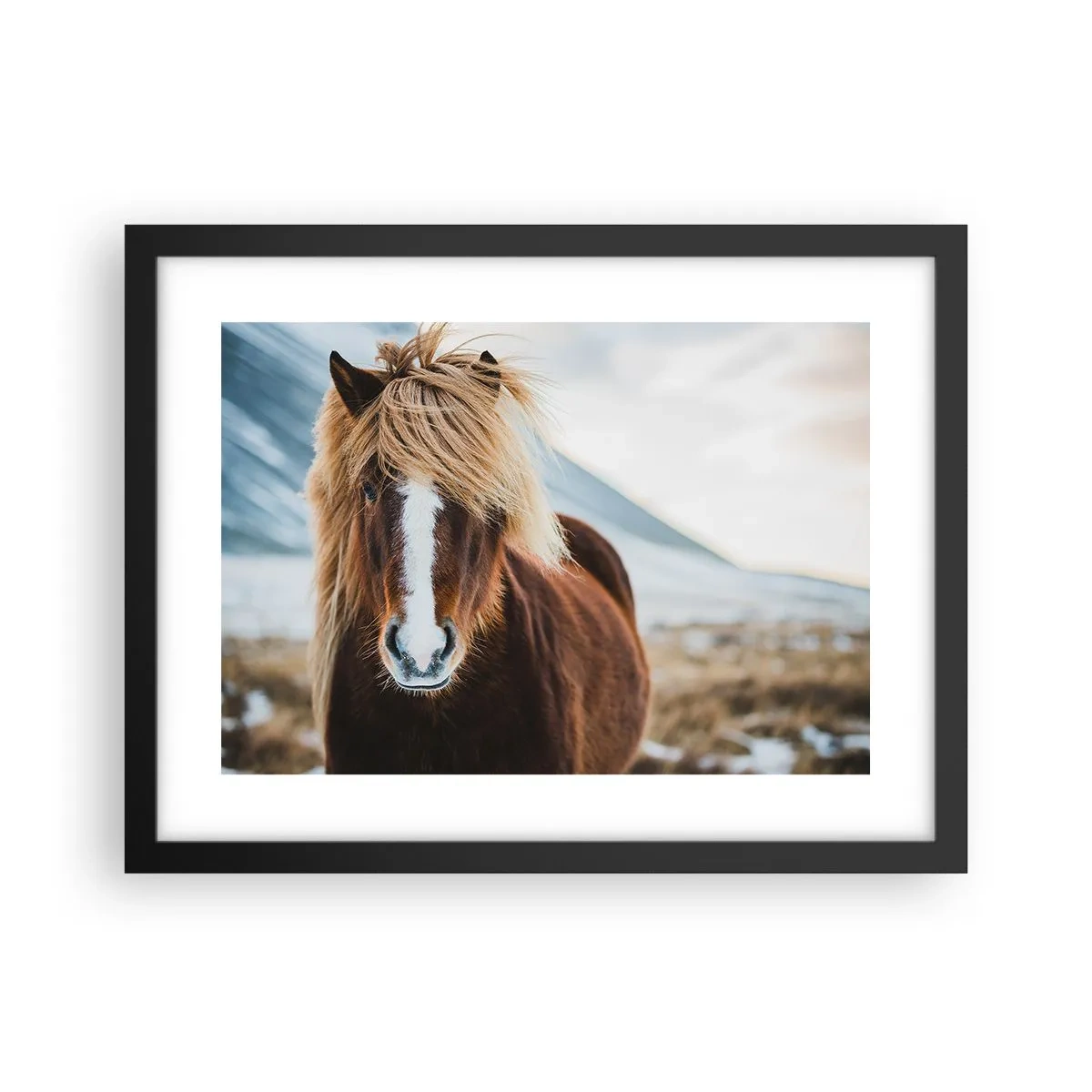 Plakat w czarnej ramie - Czujesz wolność? - 40x30 cm