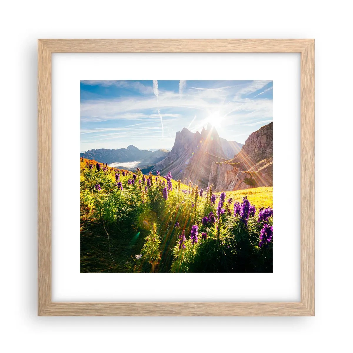 Plakat w ramie jasny dąb - Sekretne życie ziół - 30x30 cm