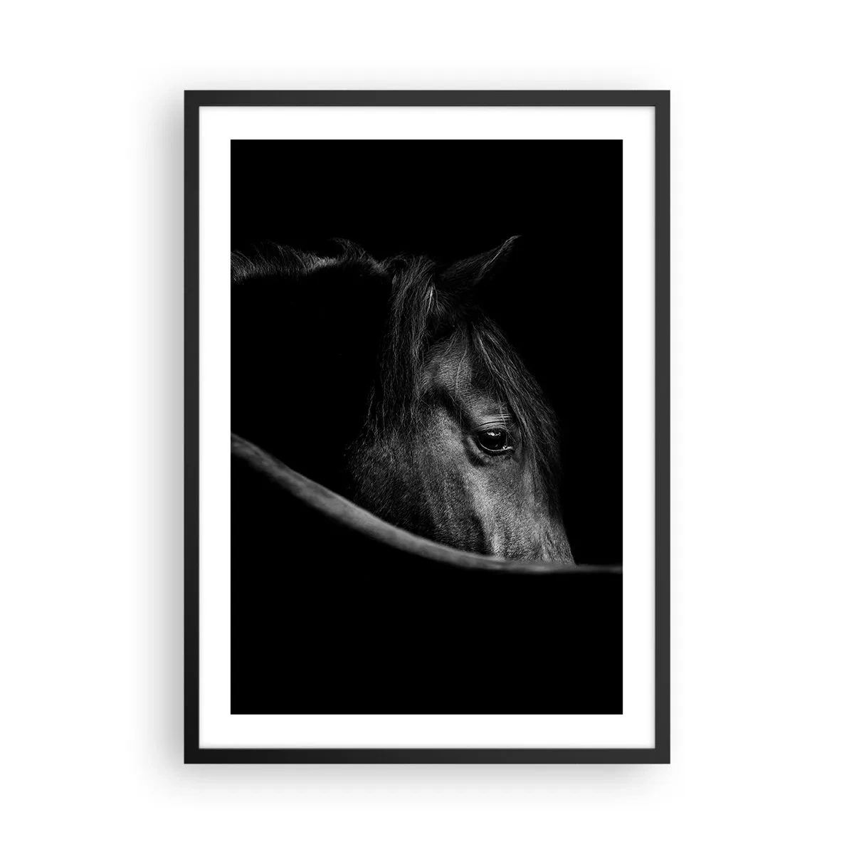 Plakat w czarnej ramie - Czarno-biały portret konia w artystycznym ujęciu - 50x70cm - Czarny książę - Nowoczesna dekoracja ścienna do salonu i sypialni ARTTOR