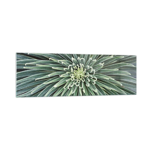 Obraz na szkle - Symetryczny układ zielonych liści przypominający gwiazdę - 160x50cm - Narodziny gwiazdy - Nowoczesna dekoracja ścienna do salonu i sypialni ARTTOR