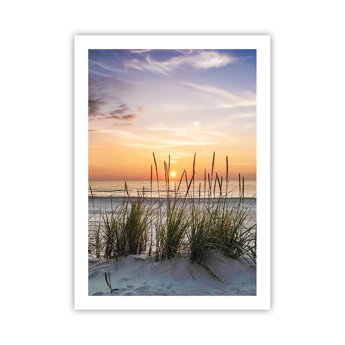 Plakat - Plaża z roślinnością o wschodzie słońca - 50x70cm - Popatrz, pomyśl, poczuj - Nowoczesna dekoracja ścienna do salonu, kuchni i sypialni ARTTOR