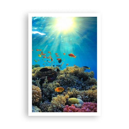Plakat - Podwodne skarby - 70x100 cm