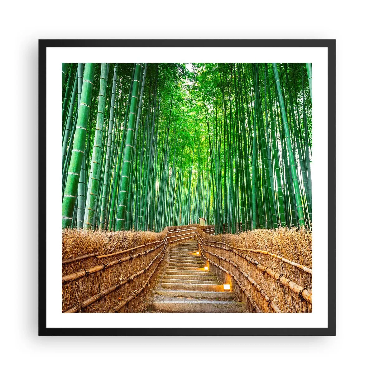 Plakat w czarnej ramie - Esencja azjatyckiej natury - 60x60 cm