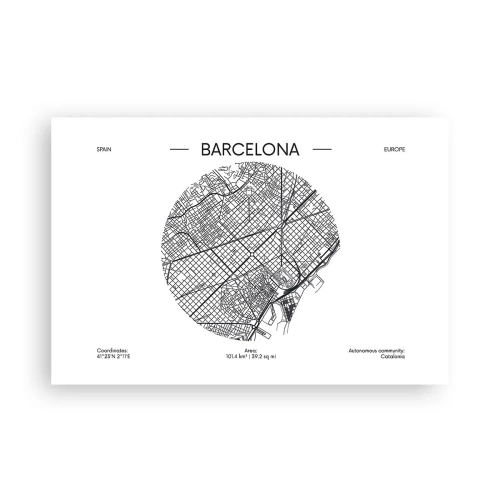 Plakat - Anatomia Barcelony - 91x61 cm