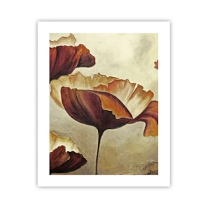 Plakat - Łąki łan - 40x50 cm