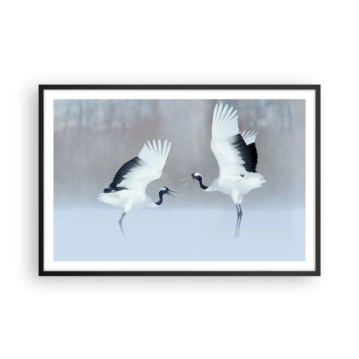 Plakat w czarnej ramie - Taniec we mgle - 91x61 cm